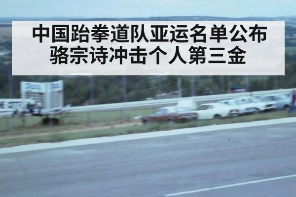 中国跆拳道队亚运名单公布 骆宗诗冲击个人第三金